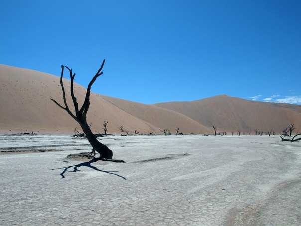 Соссусфлей — глиняное плато в центральной части пустыни Намиб на территории национального парка Намиб Науклюфт, известное самыми большими в мире красными песчаными дюнами. В Соссусфлее находится знаменитая Мёртвая долина, известная остовами мёртвых деревьев.