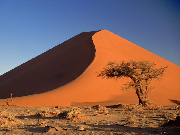Соссусфлей — глиняное плато в центральной части пустыни Намиб на территории национального парка Намиб Науклюфт, известное самыми большими в мире красными песчаными дюнами. В Соссусфлее находится знаменитая Мёртвая долина, известная остовами мёртвых деревьев.