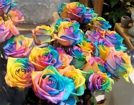 Розы одновременно всех цветов радуги. Япония.