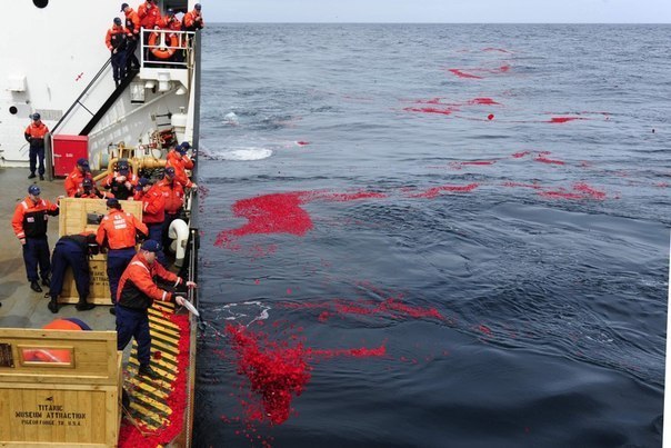 Члены экипажа катера береговой охраны США «Juniper» рассыпают 1,5 миллиона высушенных лепестков роз над местом, где затонул «Титаник»
