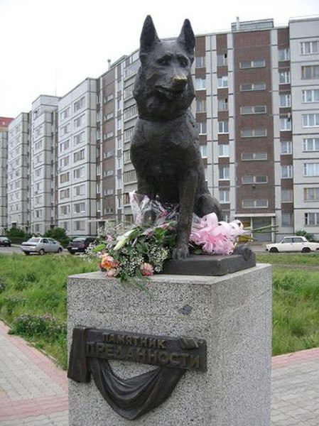 Уже несколько лет главной достопримечательностью Тольятти считается не только гигант "АвтоВАЗ", но и малоприметный памятник собаке на окраине Автозаводского района. Семь лет верный пес ждал своих погибших в автокатастрофе хозяев на улице города…