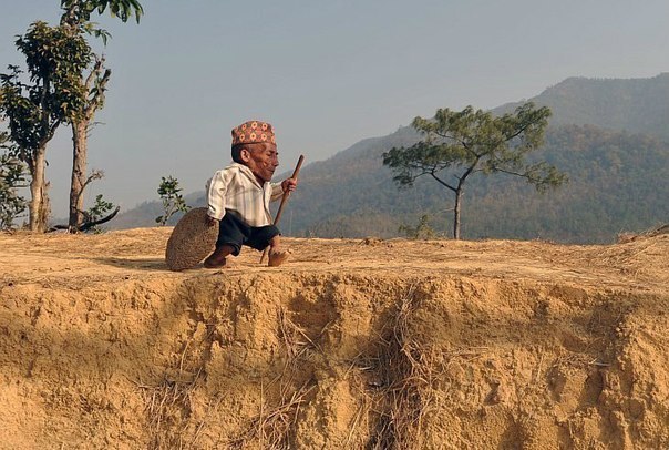 Представители Книги рекордов Гиннеса официально подтвердили, что найден новый самый маленький человек в мире среди ныне живущих — 72-летний Чандра Бахадур Данги (Chandra Bahadur Dangi) из Непала. Его рост составляет всего 54.6 см, что на целых 5.3 см меньше роста предыдущего рекордсмена — 18-летнего филиппинца Джунри Балуинга. Также, Чандра является самым маленьким взрослым человеком, о котором когда-либо было что-нибудь известно.