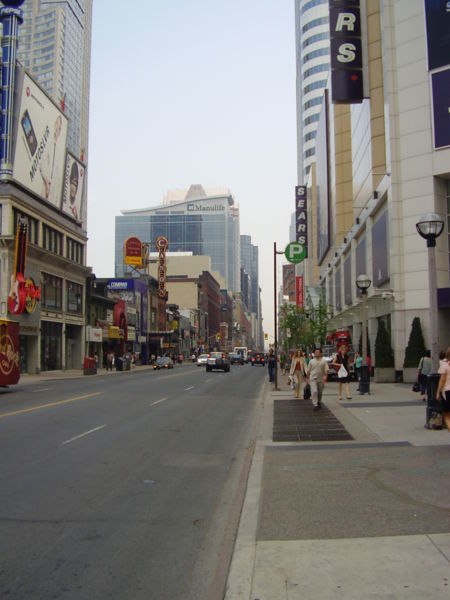 Самая длинная улица мира там значится. Это Янг Стрит, главная магистраль канадского города Торонто.
