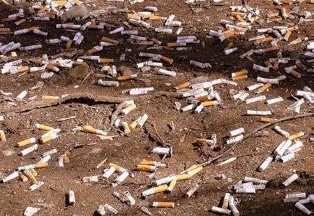 Самый распространенный мусор - сигаретные окурки. Ежегодно их выбрасывается 4.500.000.000 штук