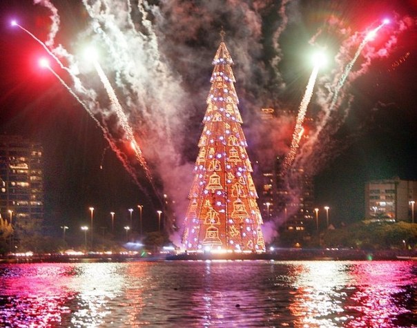 Елка в Рио-де-Жанейро попала в Книгу Рекордов Гиннесса, как самая высокая новогодне-рождественская елка. Дерево с металлическим каркасом достигает высоты 85 метров (как 28-этажное здание) и освещается 3 миллионами лампочек. Даже на открытие грандиозной елки в лагуне Родриго-де-Фрейтас пришло 100 000 человек.