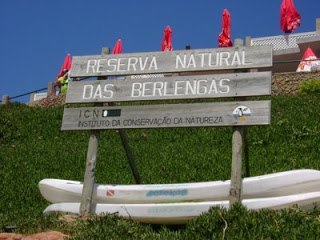 Берленга – остров-заповедник в Португалии находится в 16 км к западу от Пенише, Португалия. 