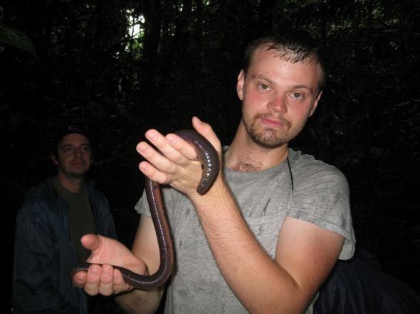Самый большой "дождевой червь" нашелся в Первоуральске около поселка Березка. Его длина составляет 1 метр 4 см.