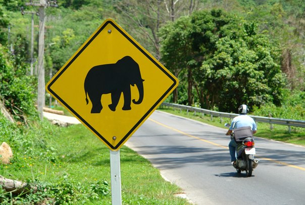Дорожный знак в Таиланде