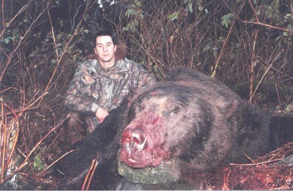 Медведь-людоед,убит охотником вес 750кг. и ростом 4.15м.