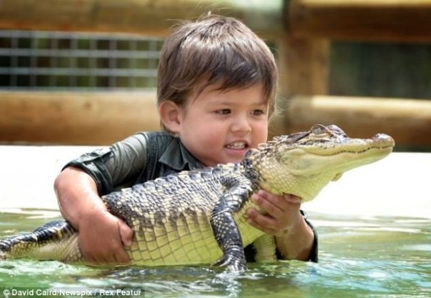 Чарли Паркер – 3-х летний укротитель аллигаторов