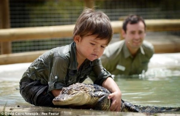 Чарли Паркер – 3-х летний укротитель аллигаторов