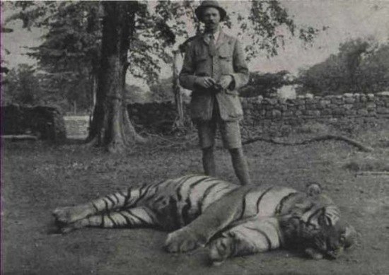 Самый известный тигр.