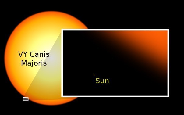 VY Большого Пса — самая большая из известных звёзд. Диаметр VY Большого Пса — около 3 млрд км. Чтобы нагляднее представить себе такой размер, вообразите, что вы отправились в путешествие вокруг этой звезды на самолёте. При скорости 900 км/ч самолёту понадобилось бы более 1100 лет, чтобы совершить такое путешествие.