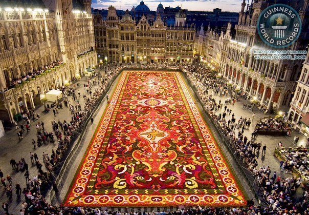 Ковёр из цветов в Брюсселе