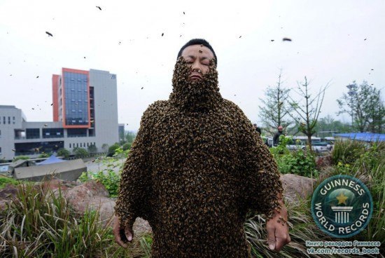 Китайский пчеловод Шэ Пин 18 апреля 2012 г. побил мировой рекорд по покрытию своего тела пчёлами: ему удалось приманить 33,1 кг пчёл.
