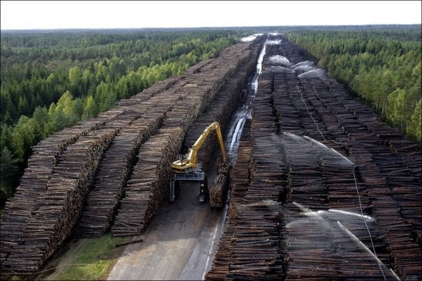 Хранилище поваленного леса на аэродроме Швеции