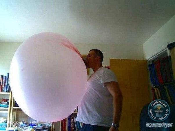 Самый большой пузырь из жвачки диаметром более 58 сантиметров был надут Сюзанной Вильямс из Калифорнии