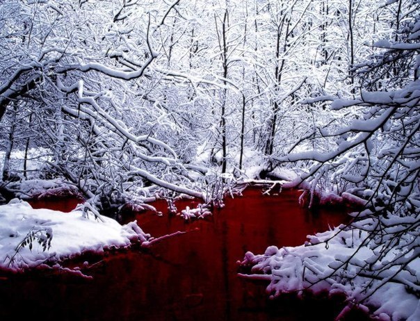 Красное озеро на севере Канады. Своим цветом оно обязано большому числу красных водорослей.