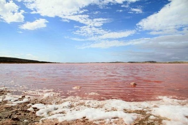 Озеро розового цвета - чудо Австралии