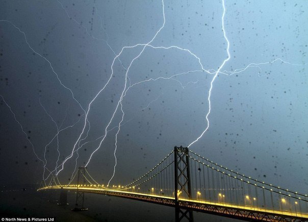 Сразу несколько молний удалось запечатлеть на одной фотографии Филу Макгрю (Phil McGrew) во время недавней грозы в Сан-Франциско. Фотограф установил выдержку 20 секунд и направил объектив фотокамеры на мост Bay Bridge.