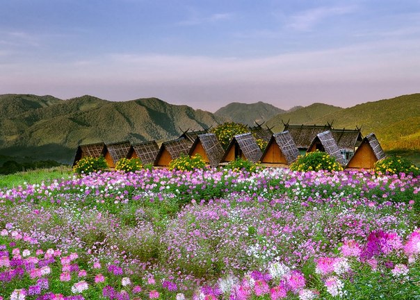 Хижины в Мае Хонг Сон - второй по величине провинции северного Таиланда, расположенной в живописной горной местности.