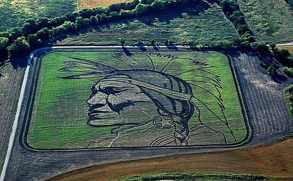 Художник Стен Херд использует трактор, чтобы вырезать картины на земле. Его самая большая работа — это 65-гектарный портрет звезды Голливуда 30-х годов Уилла Роджерса на равнине юго-западного Канзаса (США).