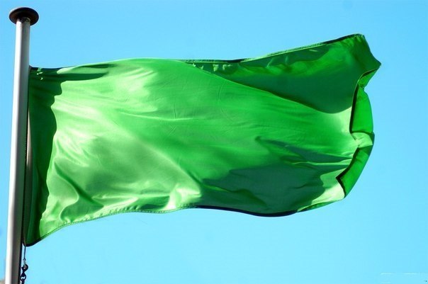 Ливия – единственная страна в мире, флаг которой одного цвета.