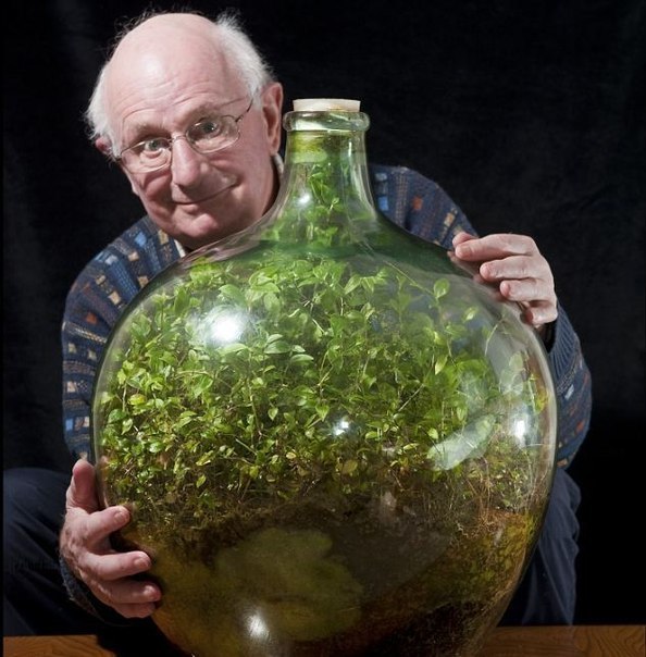 Дэвид Латимер и его традесканция — растение, которое он 40 лет назад посадил в бутылку, закупорил и ни разу не открывал. В бутылке образовалась экосистема, в которой растение само ухаживает за собой, производит кислород и питается перегноем.