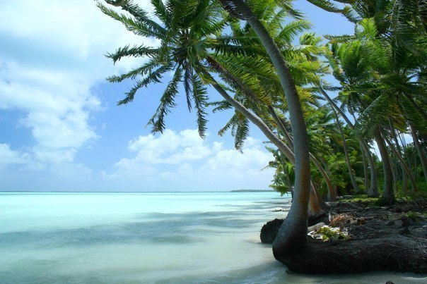 Республика Кирибати — единственное государство мира, расположенное сразу во всех полушариях (северном, южном, восточном и западном).