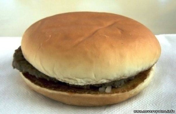 Американец Дэвид Уиппл, проживающий в штате Юта, нечаянно нашел гамбургер, который был куплен им в 1999 году в сети ресторанов McDonald's и забыт в кармане своего собственного пальто.