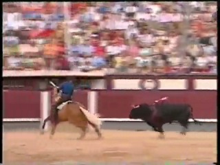 Мерлин, единственная лошадь в мире которая воспринимает корриду как игру с быком.