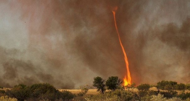 Самый опасный смерч - огненный. Редкое природное явление, высотой порядка 30 метров