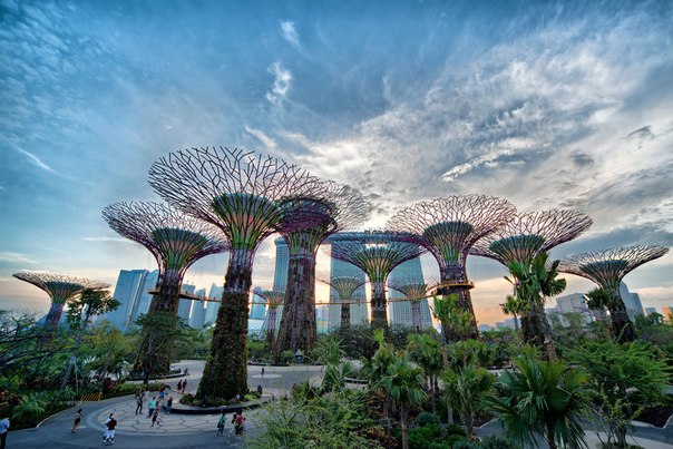 «Сады у залива» — современный городской парк, расположенный на берегу Марина-Бей в Сингапуре.