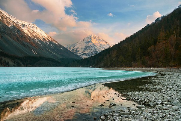 Кучерлинское озеро — озеро в Алтайских горах. Расположено у подножия северного склона Катунского хребта в верховьях реки Кучерла.