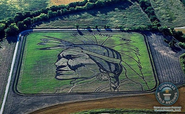 Художник Стен Херд использует трактор, чтобы вырезать картины на земле. Его самая большая работа — это 65-гектарный портрет звезды Голливуда 30-х годов Уилла Роджерса на равнине юго-западного Канзаса (США).
