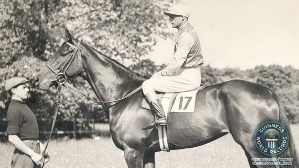 Фрэнк Хейс - единственный в истории жокей, одержавший победу мертвым. В 1923 году он умер в седле (от инфаркта) во время скачки, однако его лошадь пересекла финишную черту первой.