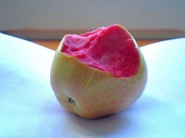 Сорт яблок: розовый жемчуг