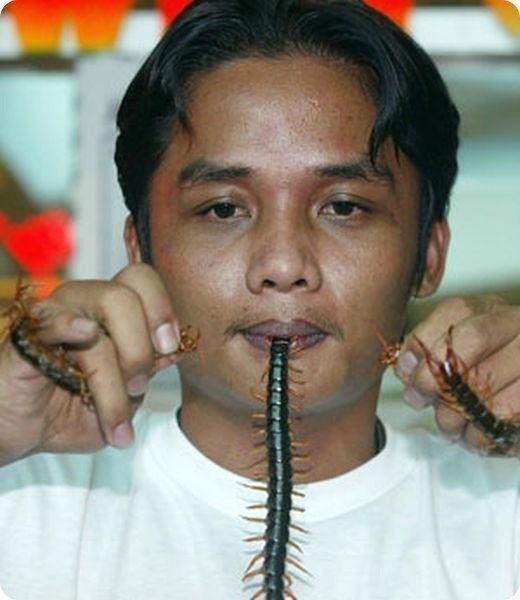 26-летний таец Бунтави Сенвонг в 2003 году поставил рекорд: он просидел 28 дней в стеклянной камере с 1000 сколопендр.