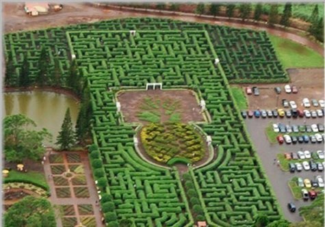 Крупнейший в мире лабиринт, согласно Книге рекордов Гиннеса 2001 года. Он предлагает более трех миль пути на трех акрах. Стены лабиринта засажены 14000 красочных гавайских растений.
