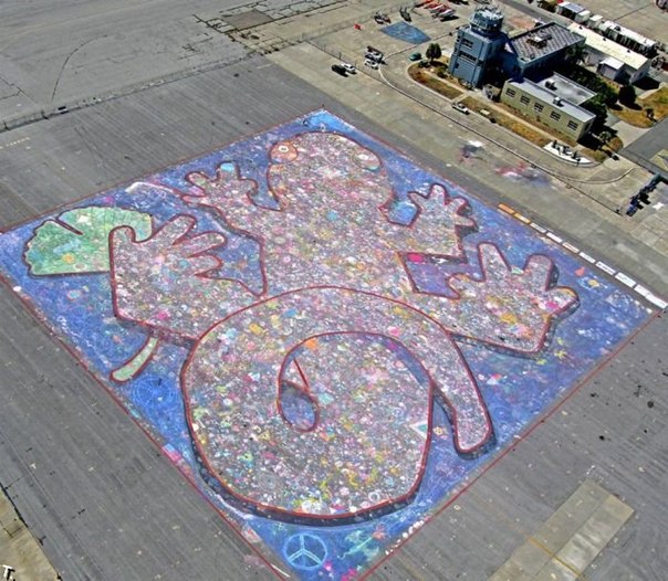 Крупнейший рисунок мелом составил 8361,31 метров, его рисовало 5 578 детей из школ Аламеды, Калифорния, для специального детского проекта с 27 мая по 7 июня 2008 года