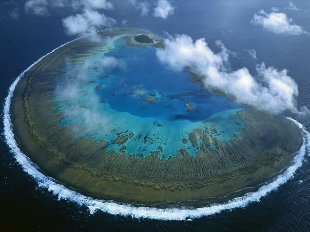 Остров Леди Масгрэйв, Большой Барьерный риф, Австралия