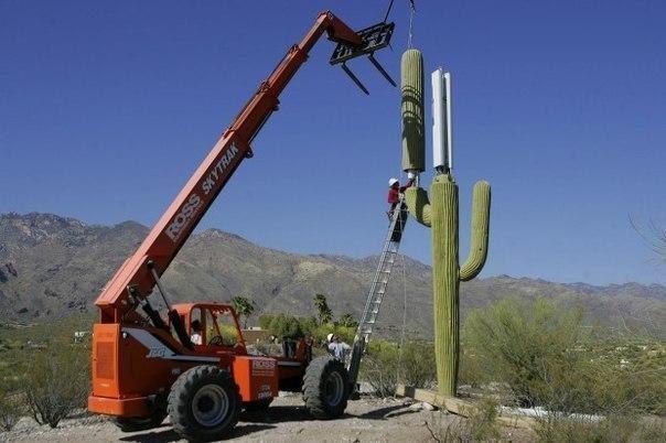 Маскировка вышки сотовой связи, Аризона, США.