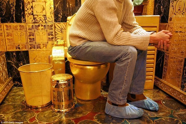 Этот туалет в Гонконге сделан из чистого золота, а только один унитаз стоит 3 миллиона долларов. Чтобы не поцарапать золотой пол, вам придется надеть бахилы.