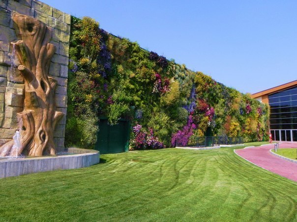 Книга Рекордов Гиннеса признала сад в торговом центре «Фьордалисо» в итальянском городке Роццано крупнейшим вертикальным садом в мире.