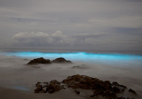 Планктон светится в океанских волнах у побережья Монтесумы, Коста-Рика. 