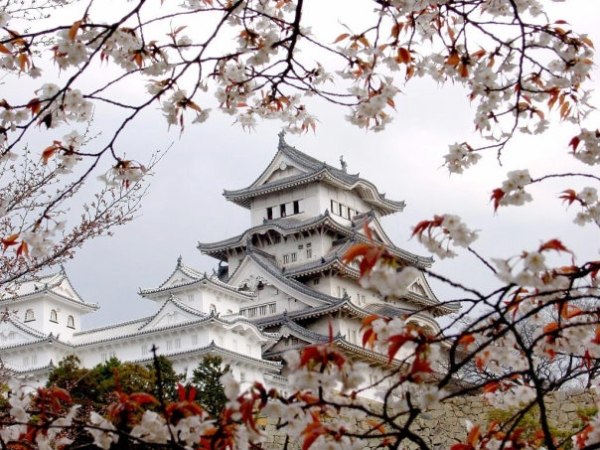 Замок Химэдзи или Белой цапли - один из древнейших сохранившихся замков Японии, и самый популярный среди туристов. 