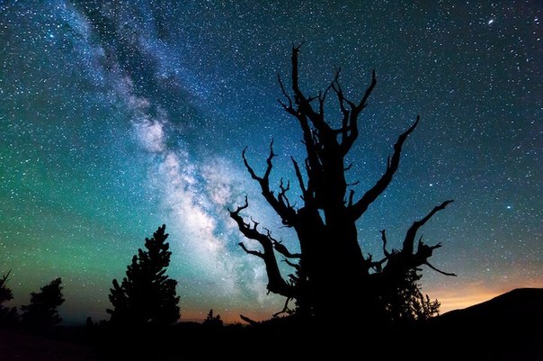 Эта потрясающая коллекция астрофотографии калифорнийского режиссера и фотографа Майкла Шейнблюма (Michael Shainblum) предоставляет зрителям возможность полюбоваться редкими природными пейзажами во всей их яркости и красоте.