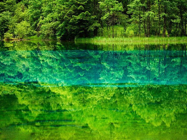 Озеро Пяти цветов, Национальный парк Цзючжайгоу, Китай..