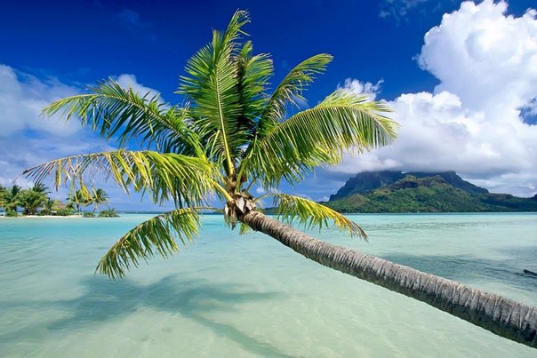 Бора-Бора, Французская Полинезия - Рай на земле
