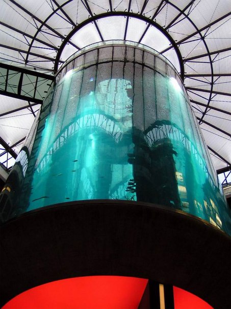 Аквариум AquaDom в Берлине